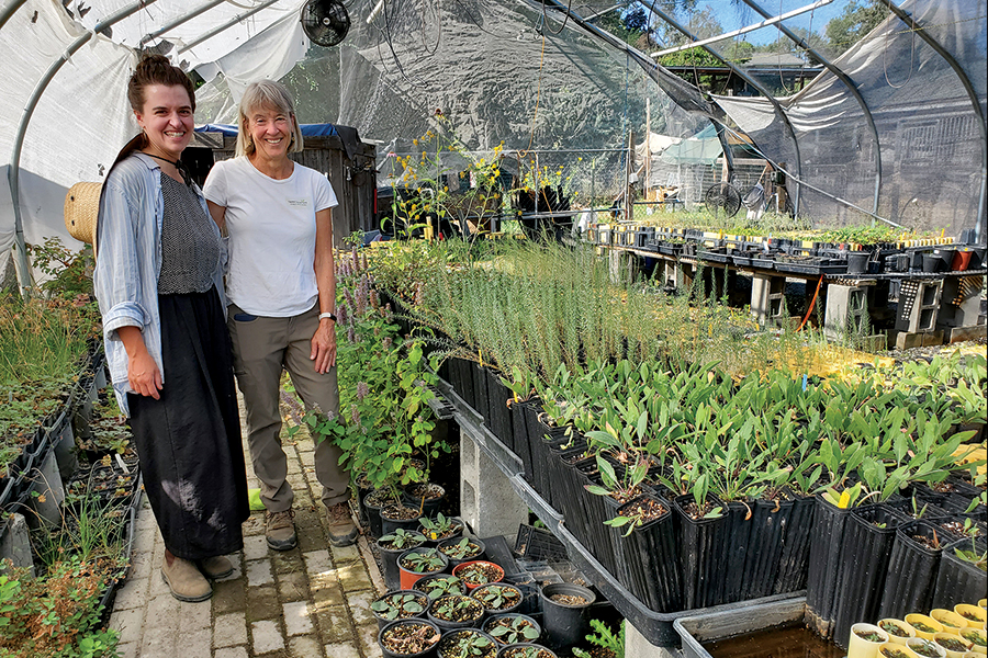 Tapteal Native Plants founder Ann Autrey and her assistant Kelsey Kelmel stand in the shade house full of plant starts, most of which will be sold at their annual fall plant sale. Autrey runs the nursery out of her multi-acre backyard, selling over 10,000 plants per year to home gardeners and professional landscapers looking to bring a touch of shrub-steppe to their landscaping. (Photo by Laura Kostad)